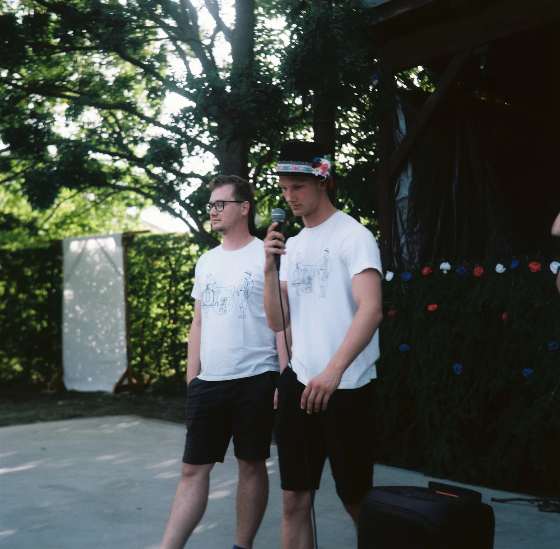 Dvojice pod stromy